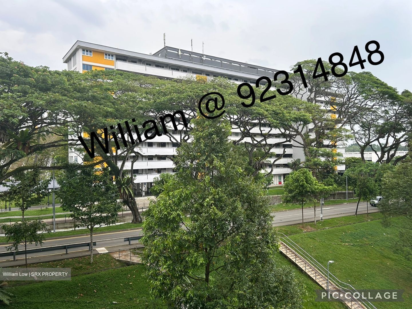 Blk 117 Kebun Baru Heights (Ang Mo Kio), HDB 4 Rooms #448791751